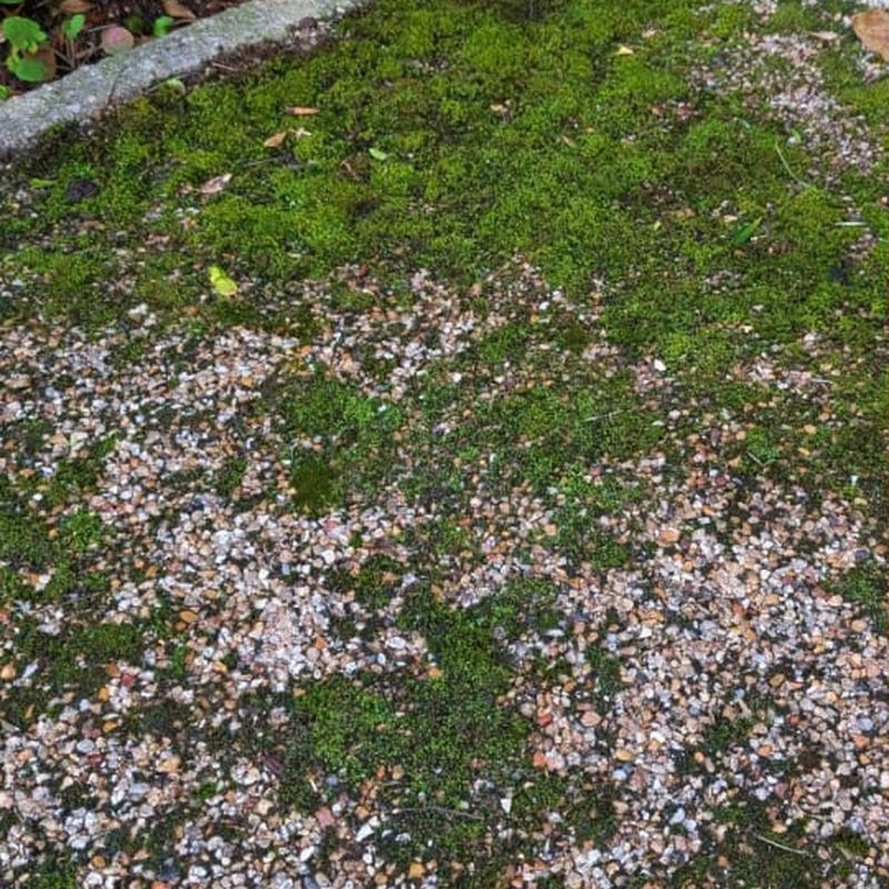 Before: Resin bound path clean, Leigh