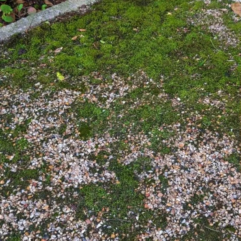 Before: Resin bound path clean, Leigh