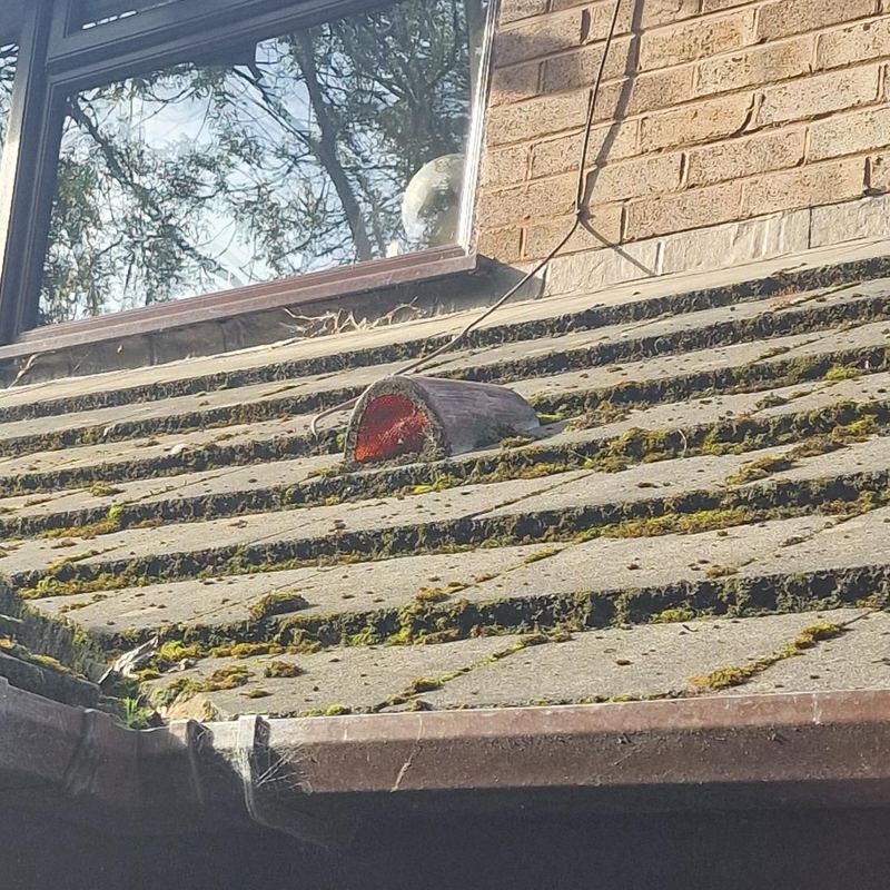 Before: Roof moss removal, St Helens