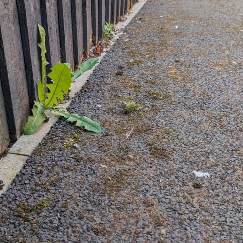 Before: Tarmac side path clean, Warrington
